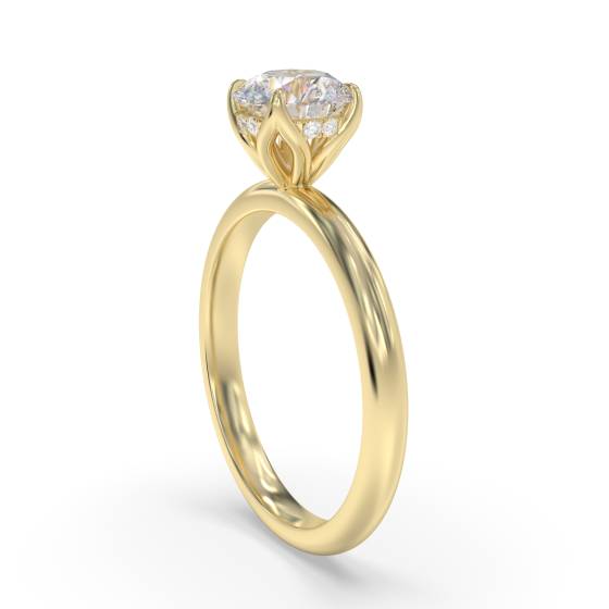Round Hidden Halo Engagement Ring
