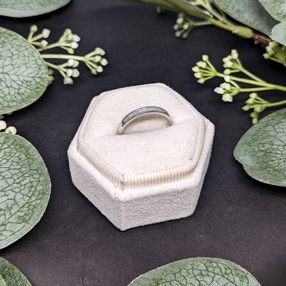 Halb-Ewigkeitsring mit 0,20 ct VS/E-F Prinzessschliff und natürlichem Diamanten